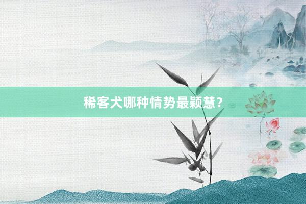稀客犬哪种情势最颖慧？