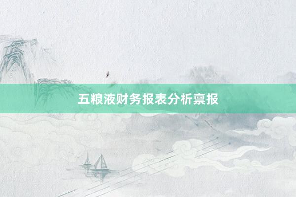 五粮液财务报表分析禀报
